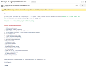 SEO Spam Email