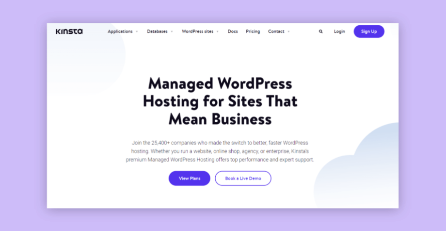 Kinsta - High Performance Website Hosting