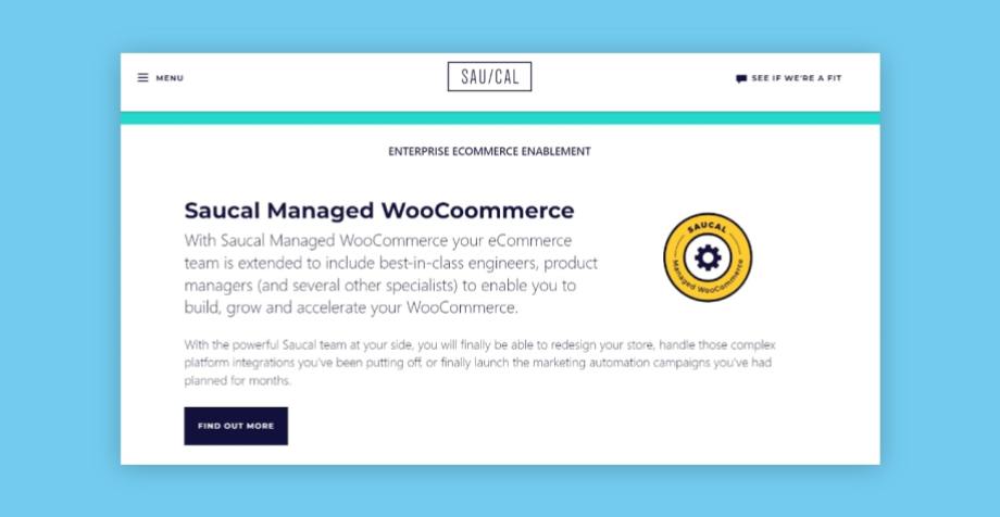 Saucal Managed Hosting for WooCommerce
