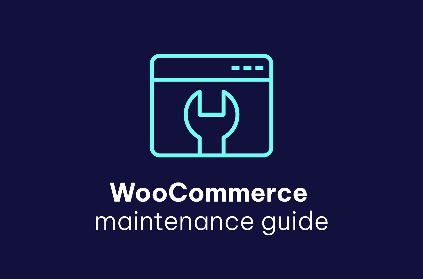 Store Owner's Guide - WooCommerce