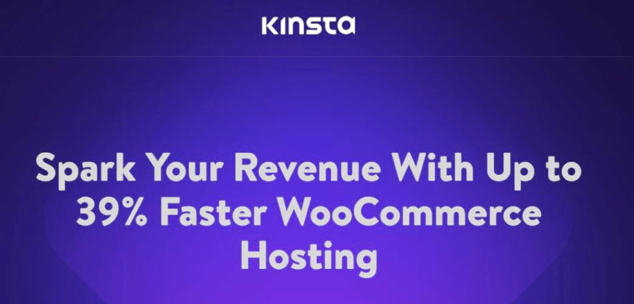 Kinsta's website