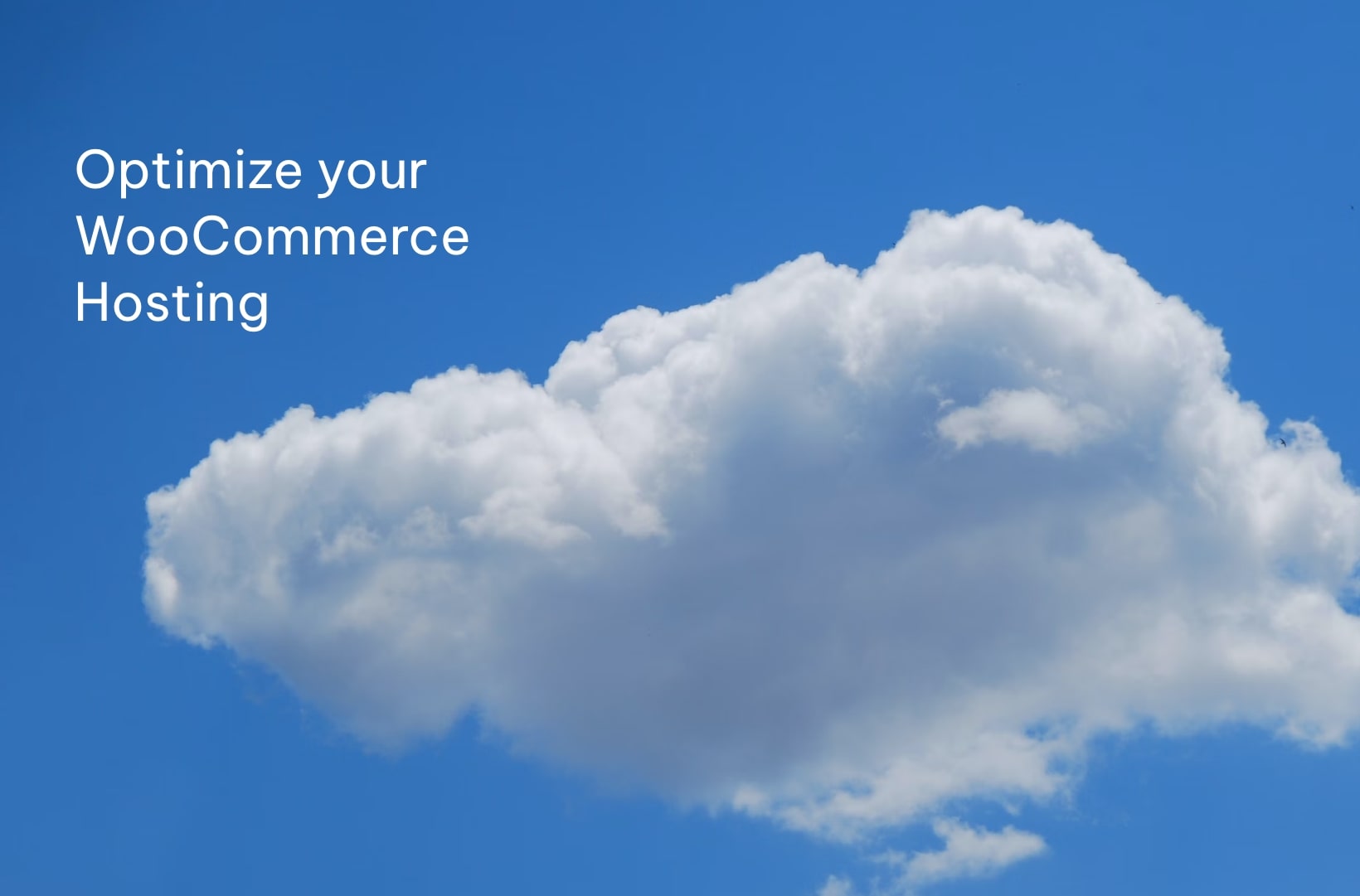 optimize your wooCommerce hosting
