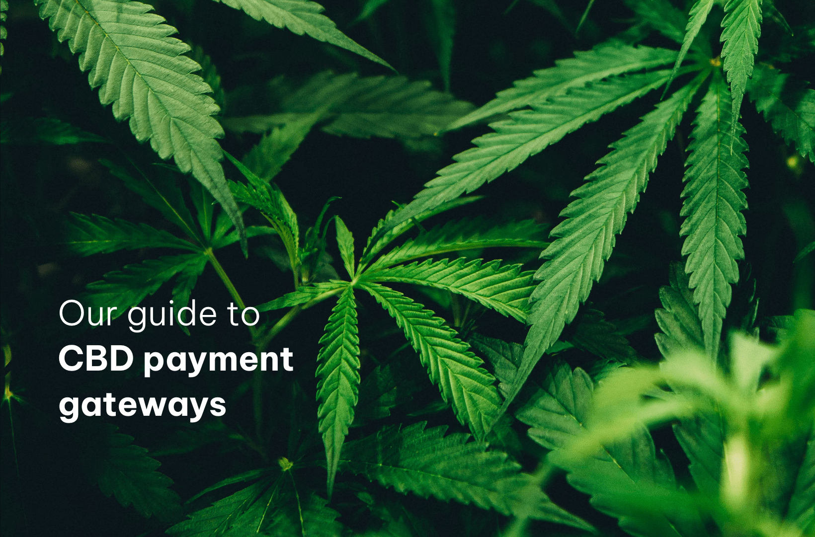 Our guide to CBD payment gateways