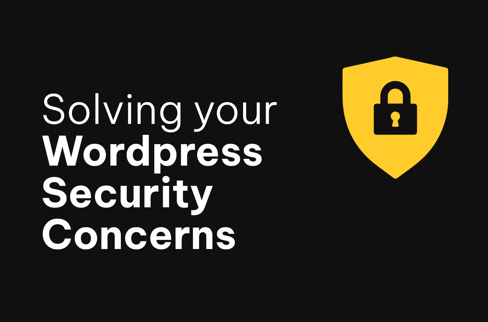 Solving the 6 Most Widespread WordPress Security Concerns