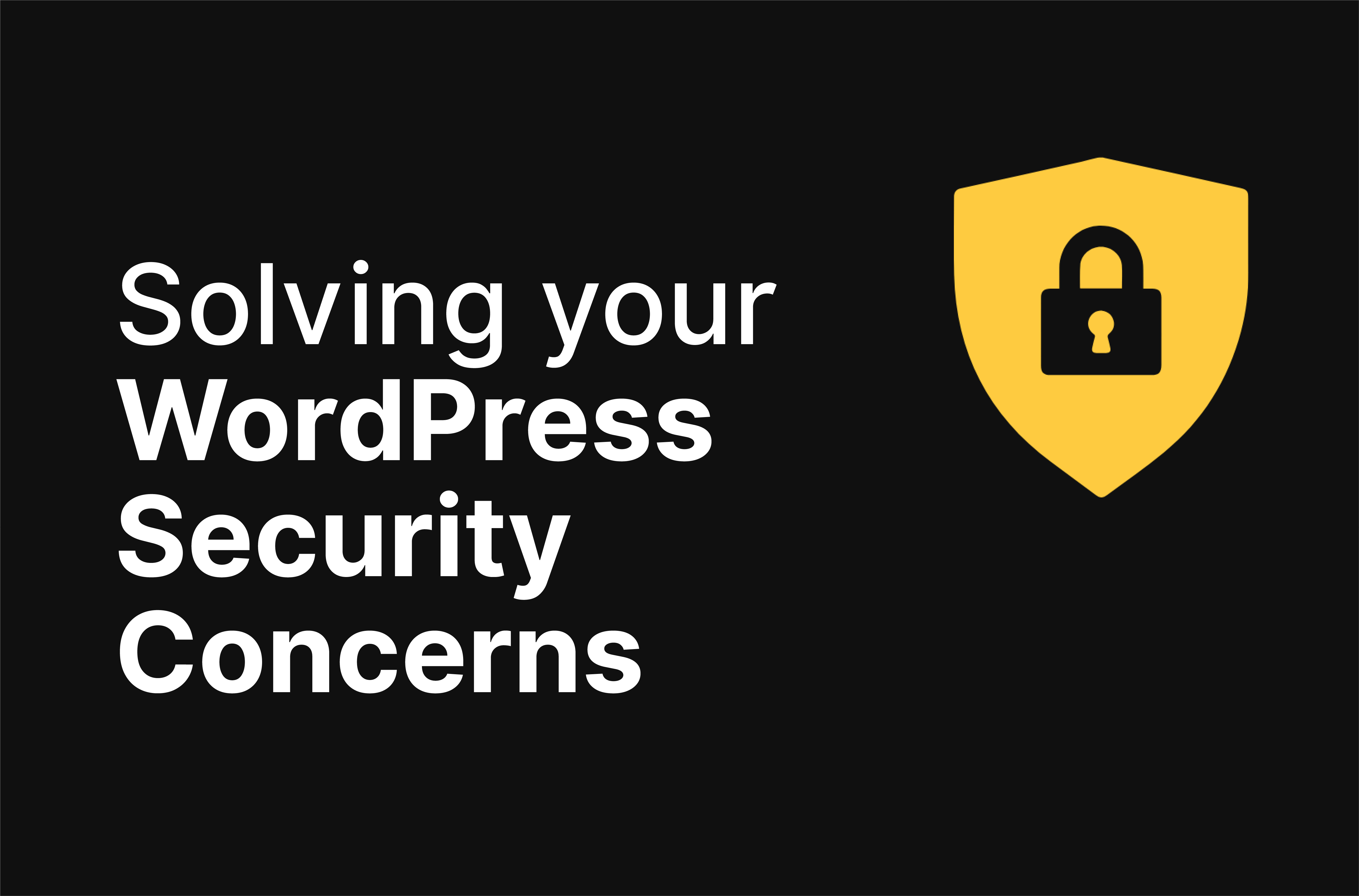 Solving the 6 Most Widespread WordPress Security Concerns