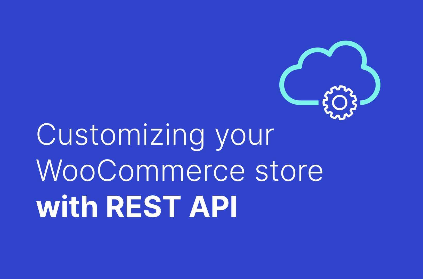Customizing your WooCommerce store with REST API