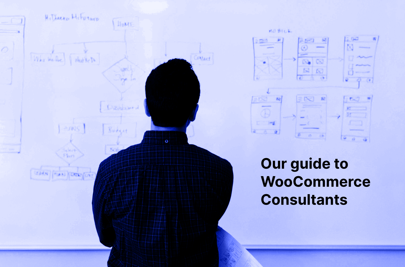 When Should You Seek WordPress/WooCommerce Consulting Services