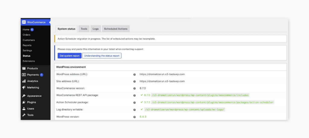 Checking the system status of your WooCommerce store. 